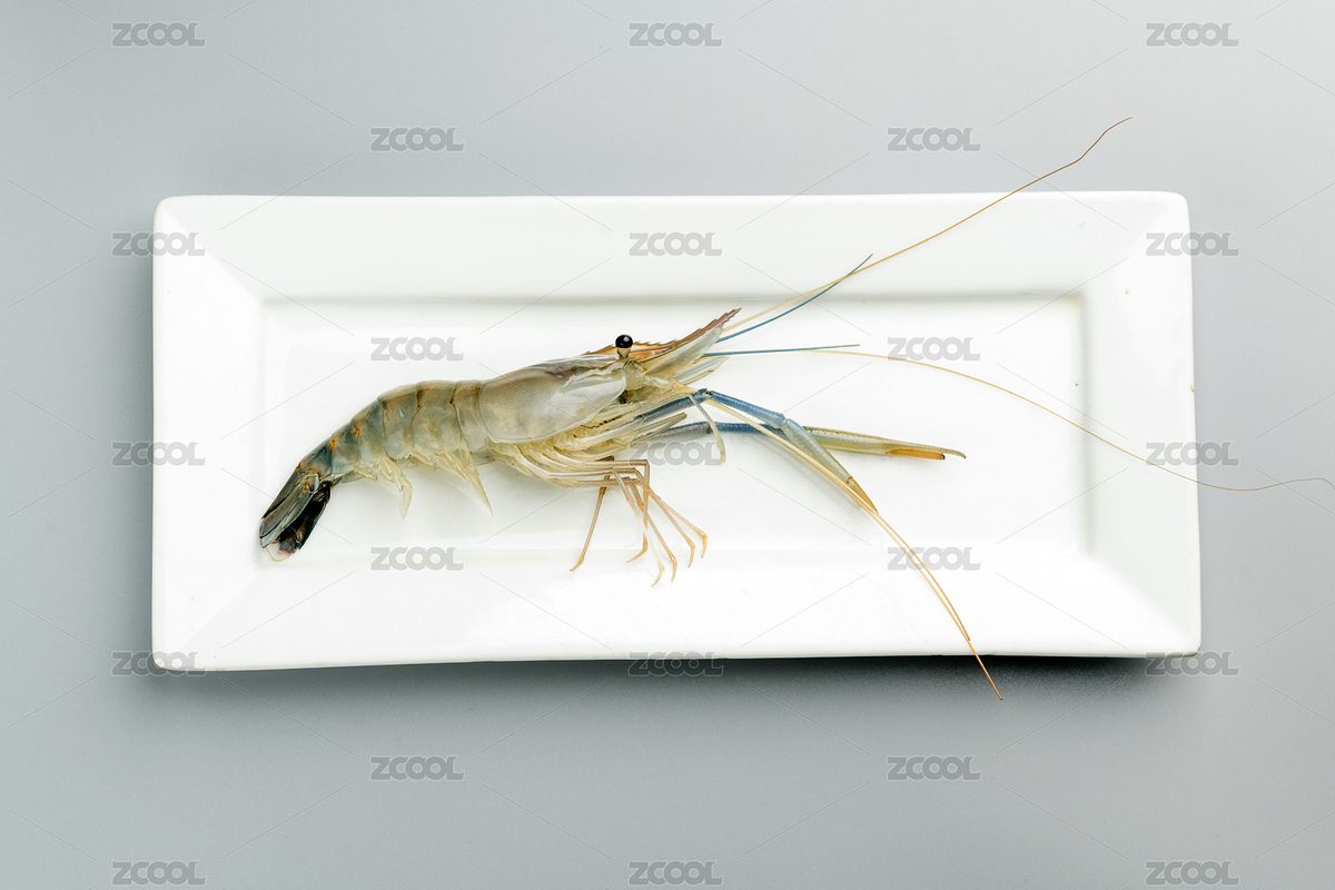 一盤新鮮的羅氏蝦特寫（主預(yù)覽-9035392） - 未分類 - 站酷設(shè)計(jì)師金翅大鵬原創(chuàng)素材 - 站酷ZCOOL
