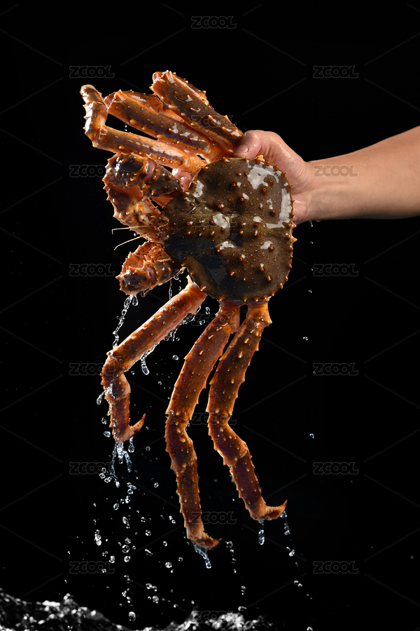 帝王蟹活鮮（主預(yù)覽-5501374） - 未分類(lèi) - 站酷設(shè)計(jì)師美食攝影師Daon原創(chuàng)素材 - 站酷ZCOOL