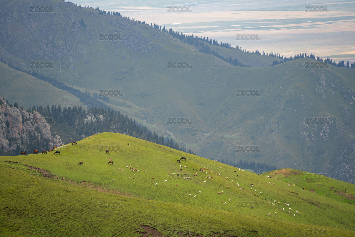 中国新疆夏季伊宁昭苏伊昭公路晴天（主预览-5472959） - 未分类 - 站酷设计师再见长夜原创素材 - 站酷ZCOOL