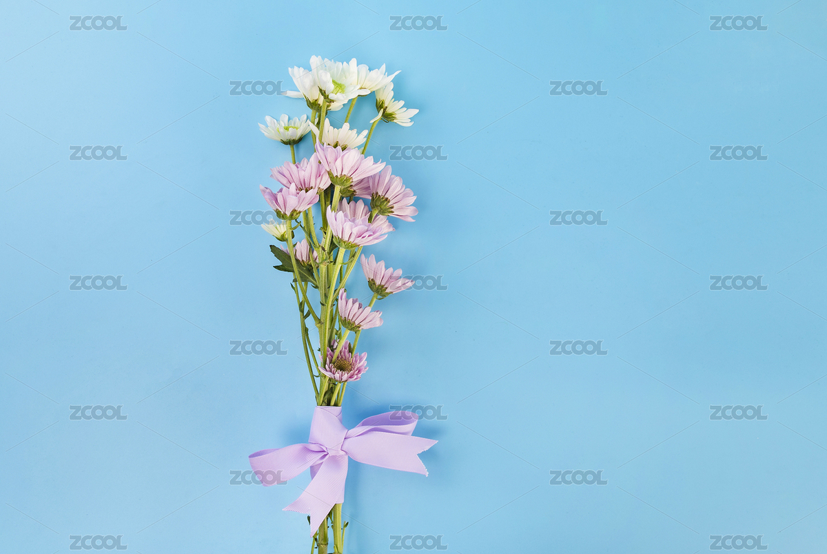 放在藍(lán)色背景下的花束（主預(yù)覽-7020956） - 未分類 - 站酷設(shè)計(jì)師西木叔叔原創(chuàng)素材 - 站酷ZCOOL
