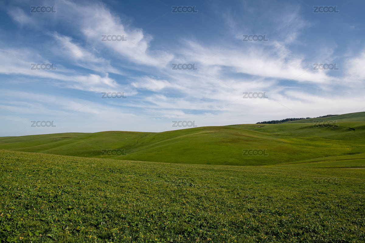 中國新疆伊犁特克斯縣喀拉峻風(fēng)景區(qū)草原風(fēng)光（主預(yù)覽-7811754） - 未分類 - 站酷設(shè)計(jì)師獨(dú)步行攝原創(chuàng)素材 - 站酷ZCOOL