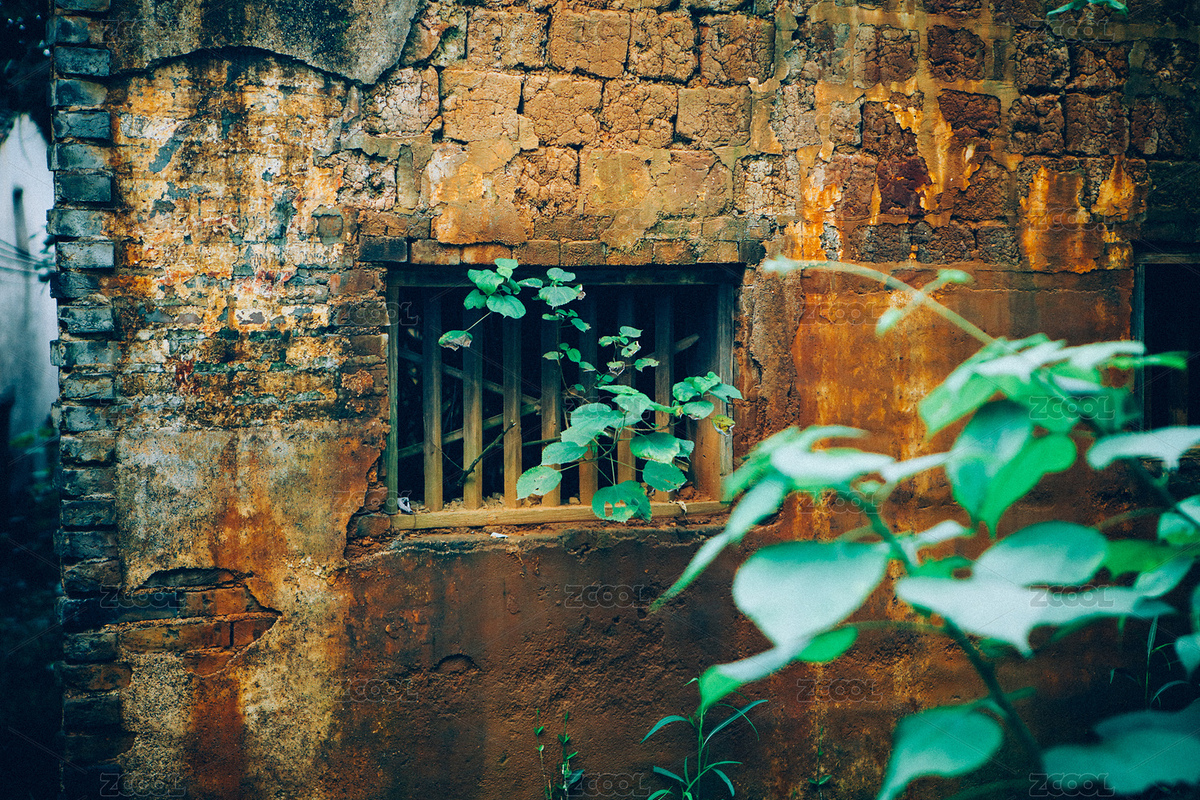 破舊荒蕪的老屋木窗長出植物（主預覽-5227810） - 未分類 - 站酷設計師曇華碎影原創(chuàng)素材 - 站酷ZCOOL