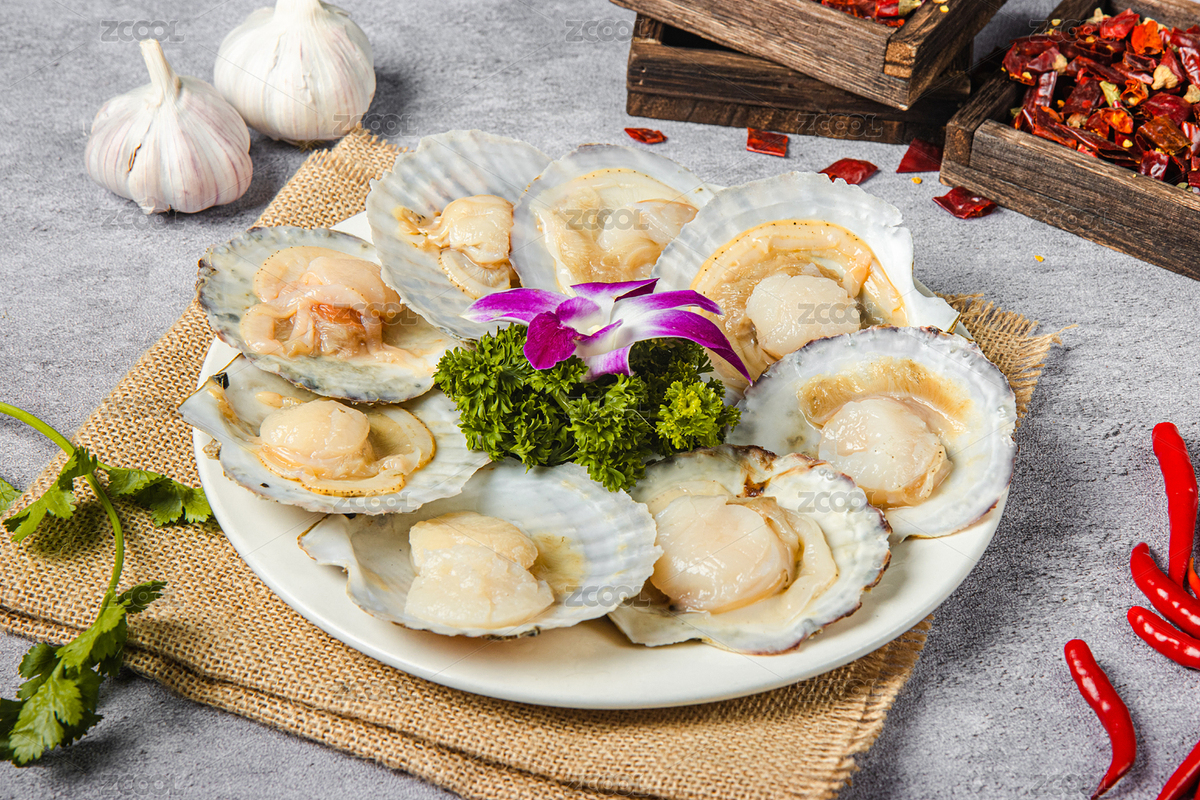 火鍋食材扇貝（主預(yù)覽-3280765） - 未分類(lèi) - 站酷設(shè)計(jì)師夢(mèng)林小丑原創(chuàng)素材 - 站酷ZCOOL