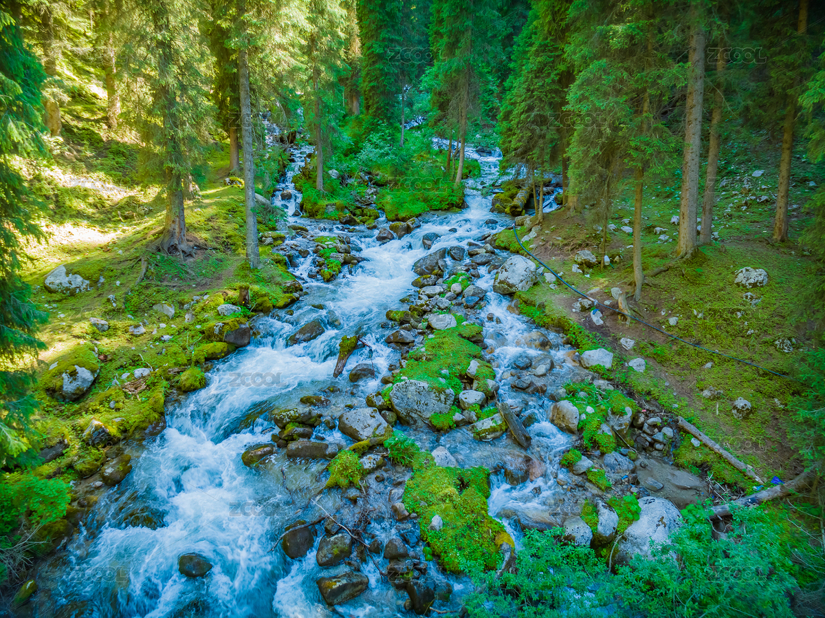 中國新疆伊犁針葉林航拍俯瞰（主預(yù)覽-7399376） - 未分類 - 站酷設(shè)計(jì)師JZ0001原創(chuàng)素材 - 站酷ZCOOL