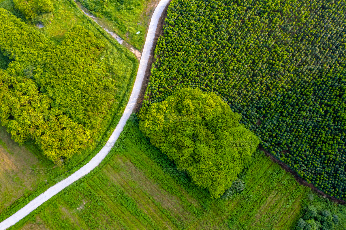 中國(guó)廣東省清遠(yuǎn)市黃花鎮(zhèn)鄉(xiāng)間小路（主預(yù)覽-7048565） - 未分類 - 站酷設(shè)計(jì)師zxl2046原創(chuàng)素材 - 站酷ZCOOL