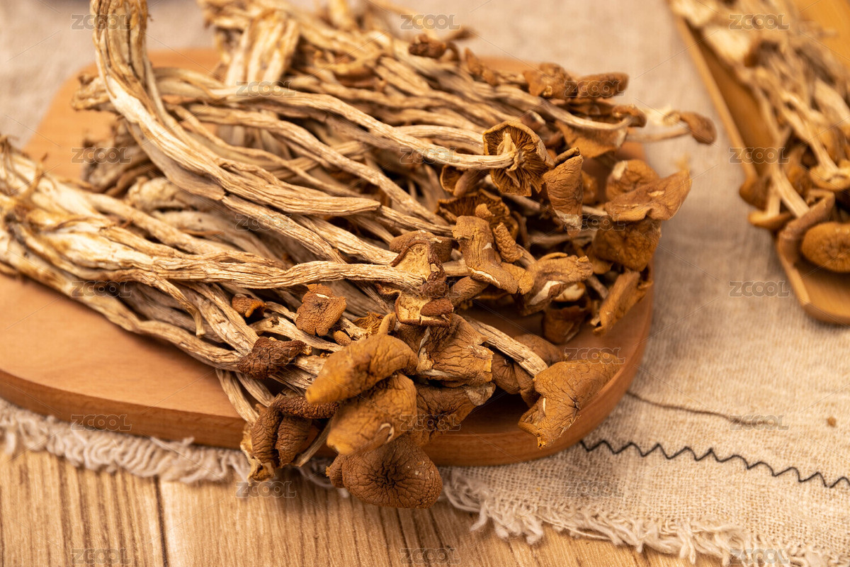 茶樹(shù)菇美味的菌類(lèi)干貨食材（主預(yù)覽-4976016） - 未分類(lèi) - 站酷設(shè)計(jì)師森派studio原創(chuàng)素材 - 站酷ZCOOL