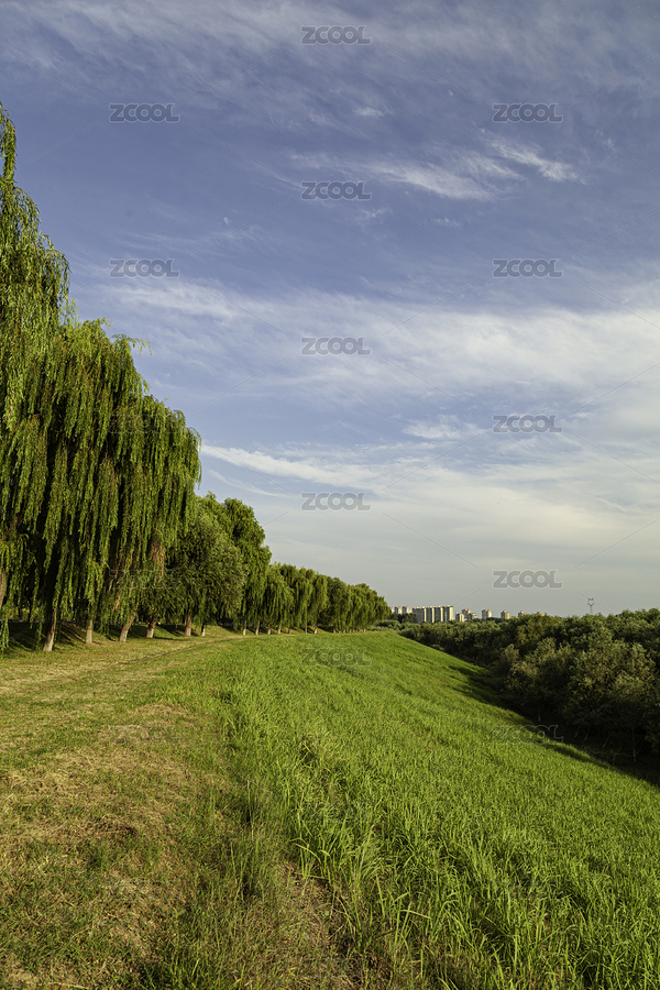 藍(lán)天白云下的河堤（主預(yù)覽-2902517） - 未分類 - 站酷設(shè)計師八零后小象原創(chuàng)素材 - 站酷ZCOOL