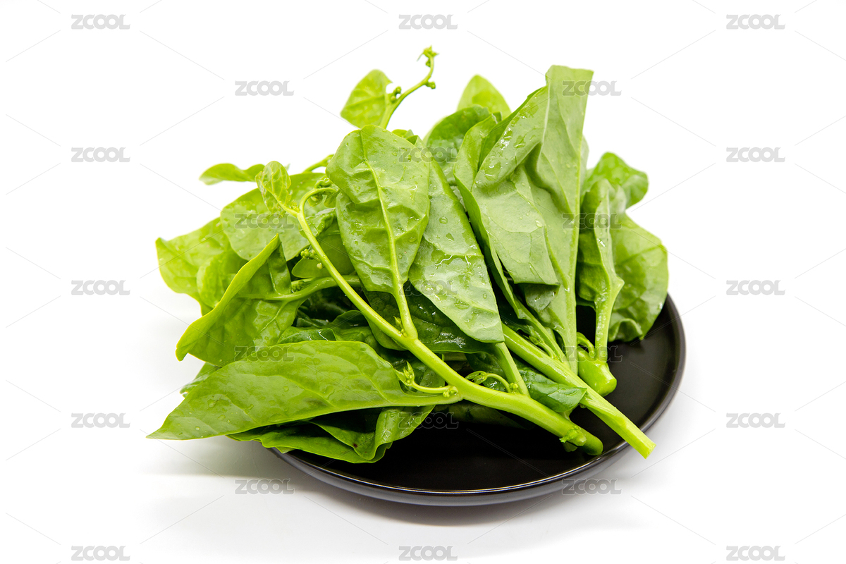 白背景新鮮蔬菜木耳菜（主預(yù)覽-7946354） - 未分類 - 站酷設(shè)計(jì)師范范0809原創(chuàng)素材 - 站酷ZCOOL