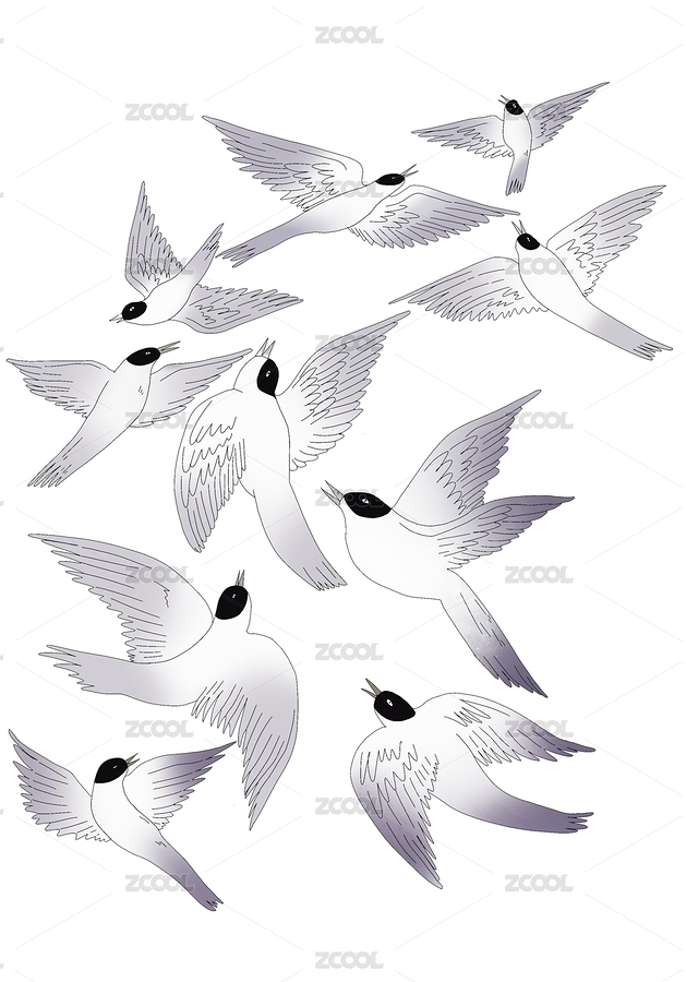 代表美好和吉祥的喜鵲元素（主預(yù)覽-900051） - 未分類(lèi) - 站酷設(shè)計(jì)師貓柚子原創(chuàng)素材 - 站酷ZCOOL