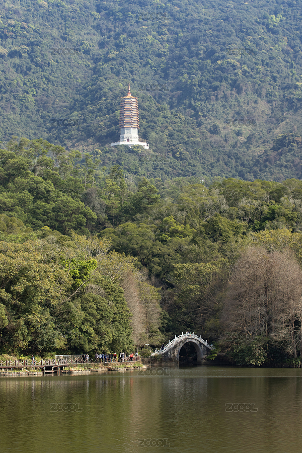 深圳仙湖植物园景观（主预览-2813386） - 未分类 - 站酷设计师记录我所见原创素材 - 站酷ZCOOL