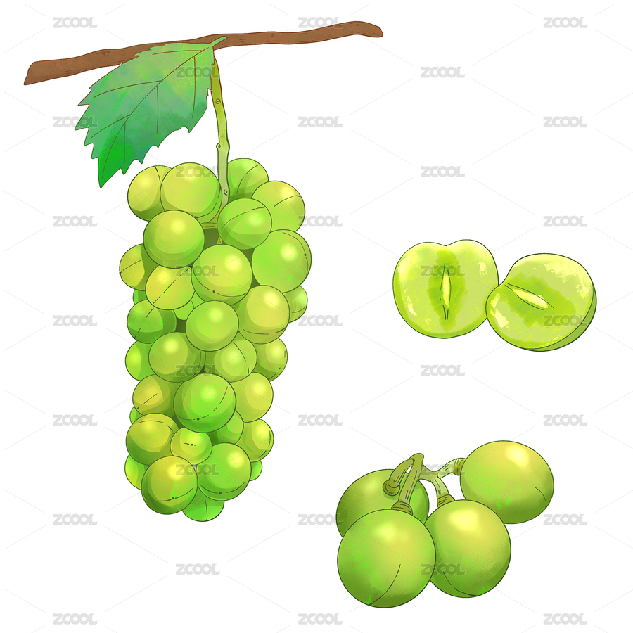 手绘水彩水果阳光玫瑰葡萄插画（主预览-3972948） - 未分类 - 站酷设计师萌萌的小姐姐原创素材 - 站酷ZCOOL