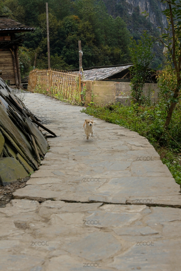 云南丙中洛霧里怒族原生態(tài)聚落小路（主預(yù)覽-8347460） - 未分類 - 站酷設(shè)計(jì)師原野三月原創(chuàng)素材 - 站酷ZCOOL