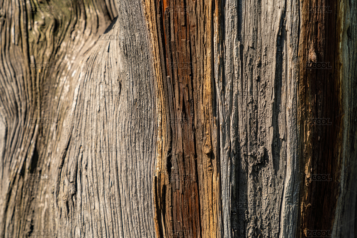 柏樹(shù)局部紋理圖（主預(yù)覽-9014027） - 未分類(lèi) - 站酷設(shè)計(jì)師云眸視覺(jué)原創(chuàng)素材 - 站酷ZCOOL