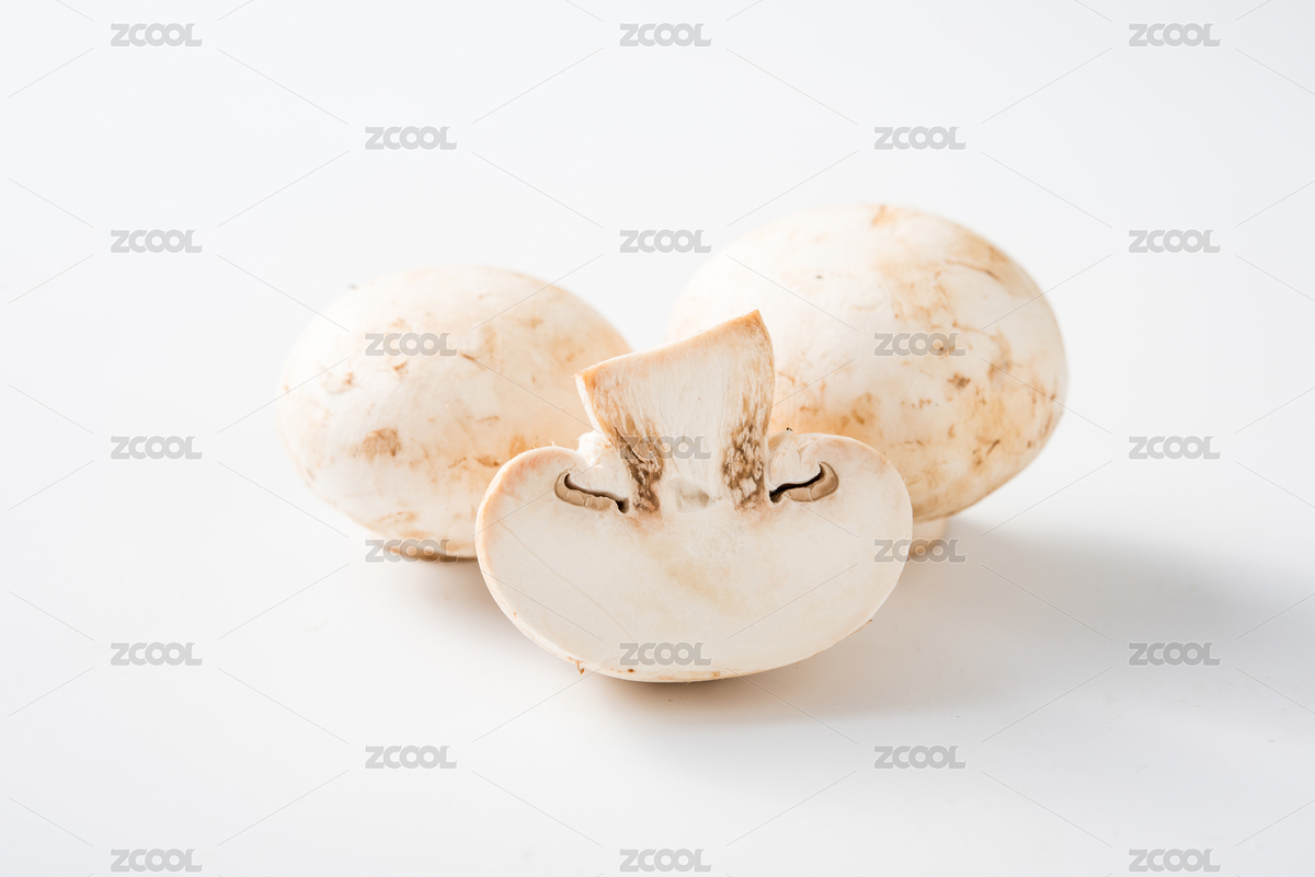 蘑菇（主預覽-5643390） - 未分類 - 站酷設計師TEPAD原創(chuàng)素材 - 站酷ZCOOL