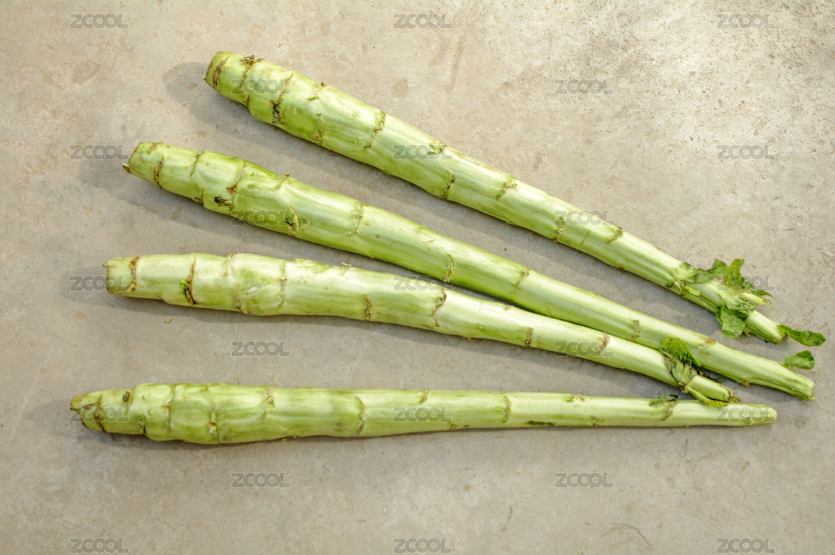 萵筍（主預覽-5621962） - 未分類 - 站酷設計師wmei5881原創(chuàng)素材 - 站酷ZCOOL