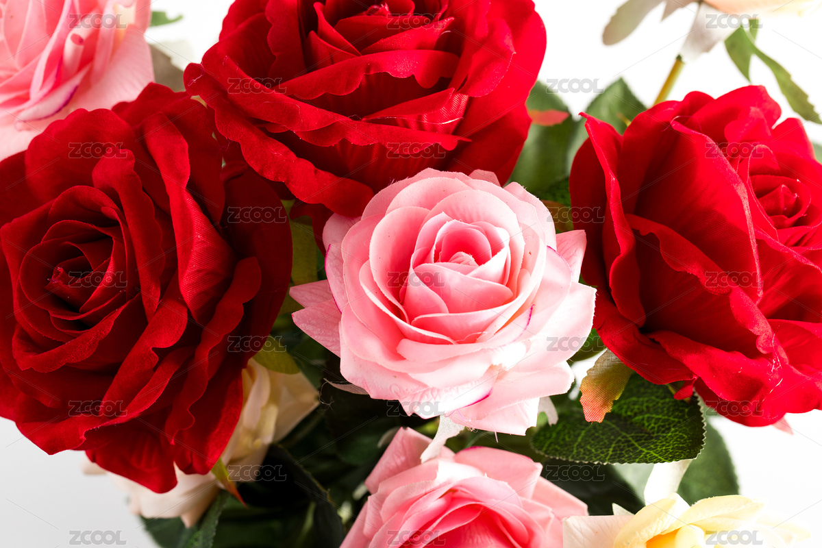 放在白色背景上的一大束塑料玫瑰假花圃（主預(yù)覽-3946942） - 未分類 - 站酷設(shè)計師鐵棍山藥芝麻片原創(chuàng)素材 - 站酷ZCOOL
