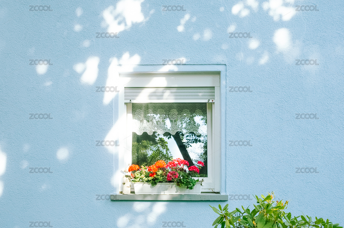 阳光撒在窗台的花朵上（主预览-5185927） - 未分类 - 站酷设计师jms_PHOTO原创素材 - 站酷ZCOOL
