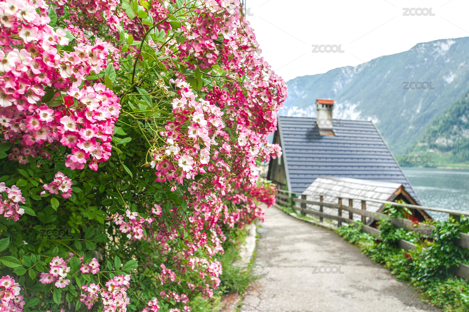 鲜花 房顶 哈尔施塔特 Hallstatt 