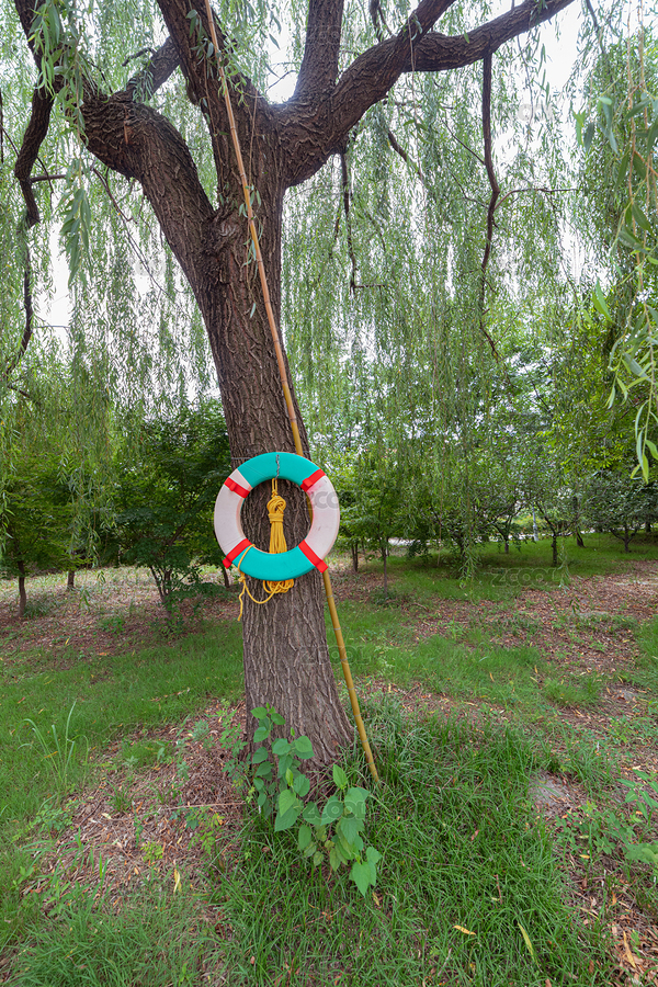 挂在湖边柳树上的救生圈和绳索等救生工具（主预览-6693185） - 未分类 - 站酷设计师马胜轻原创素材 - 站酷ZCOOL