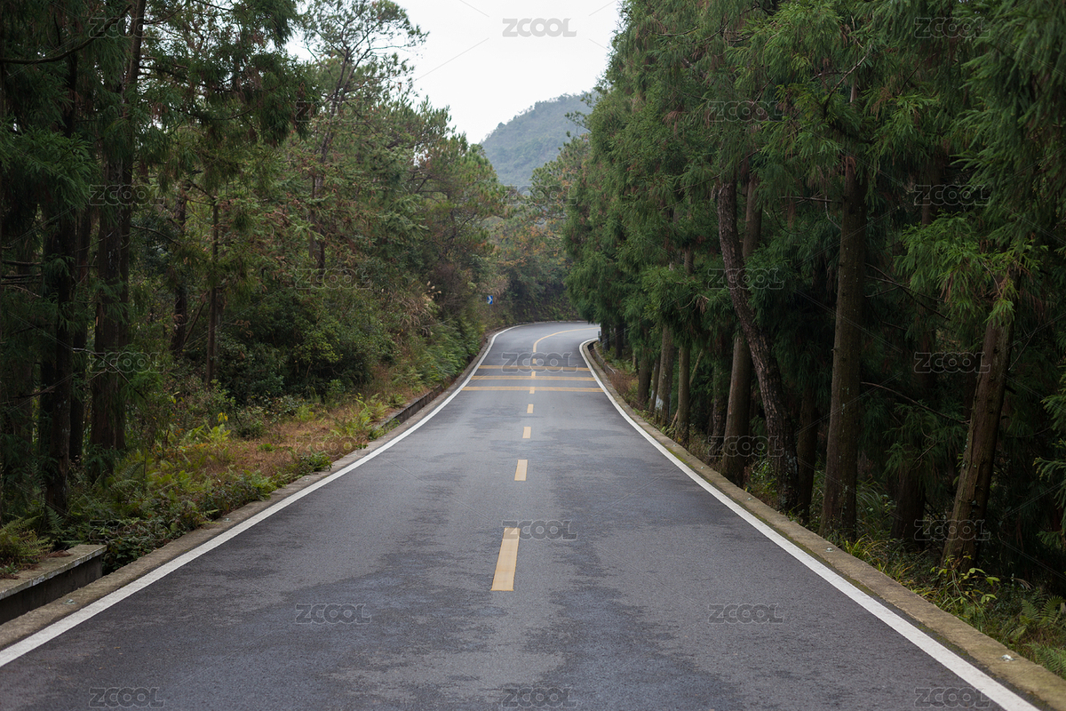 森林公路（主預(yù)覽-6804296） - 未分類 - 站酷設(shè)計(jì)師香蕉飛鼠原創(chuàng)素材 - 站酷ZCOOL