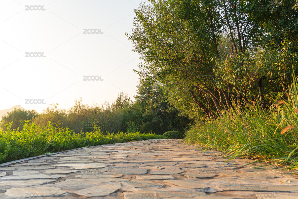 晨光中的石板路（主預(yù)覽-12060087） - 未分類 - 站酷設(shè)計(jì)師秋砜原創(chuàng)素材 - 站酷ZCOOL