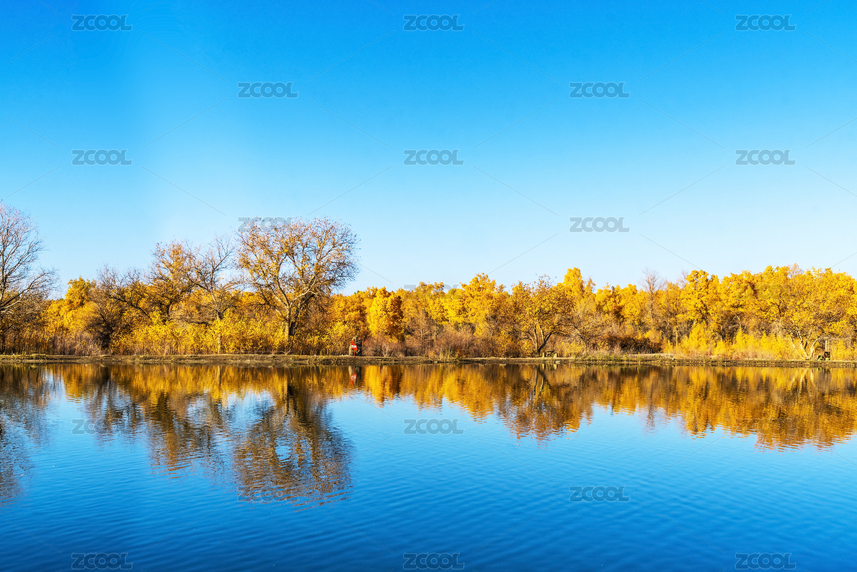甘肅省酒泉市金塔縣胡楊林和金波湖秋天風(fēng)光（主預(yù)覽-7889497） - 未分類 - 站酷設(shè)計(jì)師青稞的后來原創(chuàng)素材 - 站酷ZCOOL