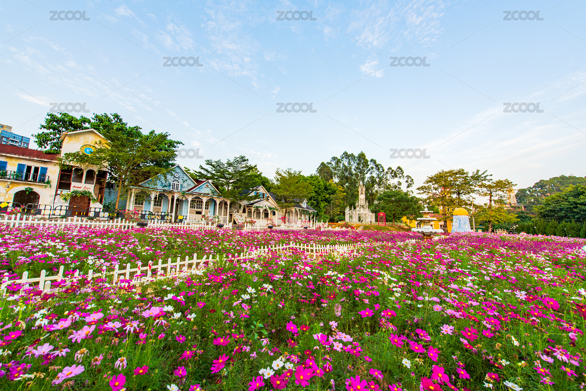 中國廣東東莞鳳崗龍鳳山莊里的花田（主預覽-5952663） - 未分類 - 站酷設計師楓葉s2018原創(chuàng)素材 - 站酷ZCOOL