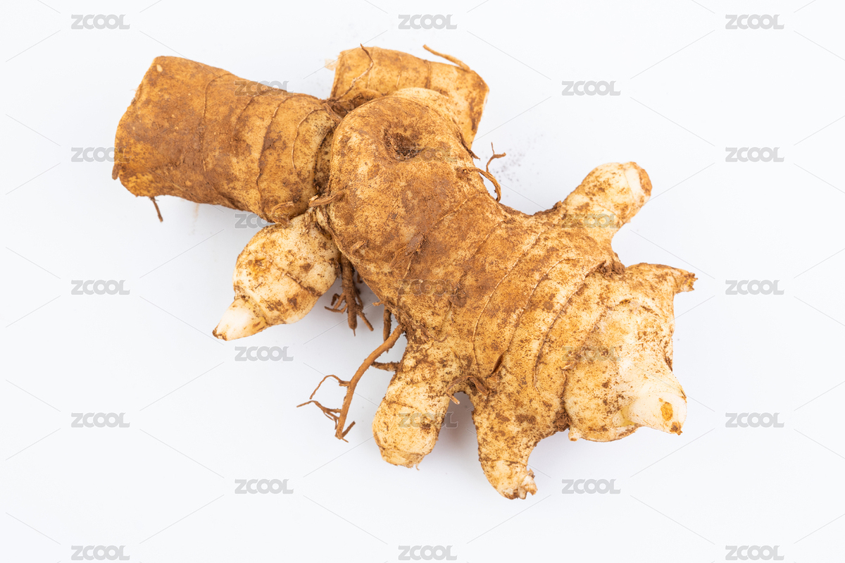 新鮮野生中藥材黃精（主預(yù)覽-7821150） - 未分類 - 站酷設(shè)計(jì)師風(fēng)暴麗麗原創(chuàng)素材 - 站酷ZCOOL