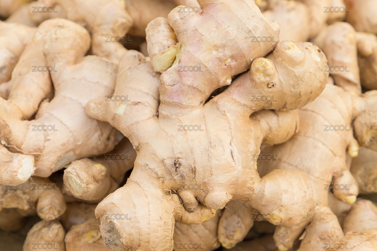 綠色食品生姜（主預(yù)覽-6646766） - 未分類 - 站酷設(shè)計(jì)師do_do2008原創(chuàng)素材 - 站酷ZCOOL