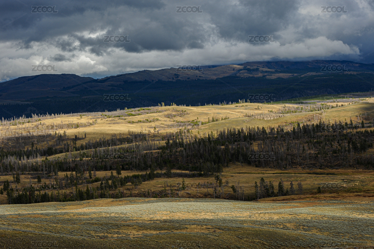 美國黃石公園黑尾鹿高原（主預覽-12690458） - 未分類 - 站酷設(shè)計師Hongyang21原創(chuàng)素材 - 站酷ZCOOL