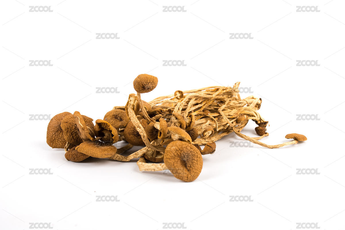 放在白色背景上的菌類干貨——茶樹菇（主預覽-8155537） - 未分類 - 站酷設計師鐵棍山藥芝麻片原創(chuàng)素材 - 站酷ZCOOL