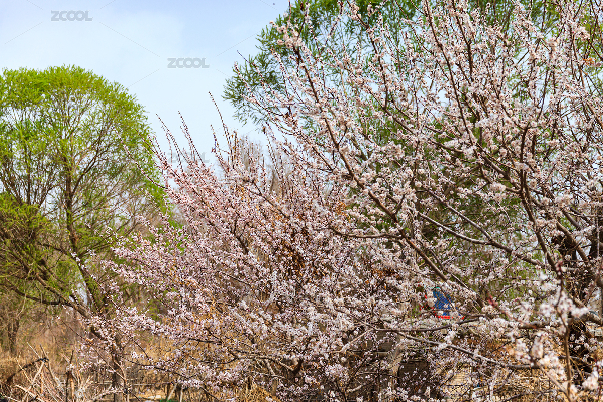 中國新疆庫爾勒鐵門關(guān)市建設(shè)兵團（主預(yù)覽-4896669） - 未分類 - 站酷設(shè)計師劉劍偉原創(chuàng)素材 - 站酷ZCOOL