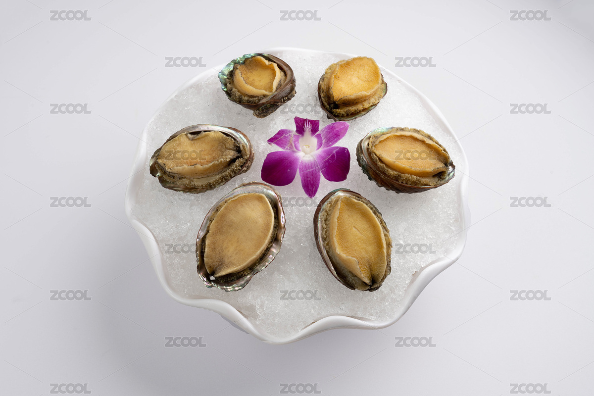 白底火锅食材鲜鲍鱼（主预览-8661649） - 未分类 - 站酷设计师YenaLou原创素材 - 站酷ZCOOL