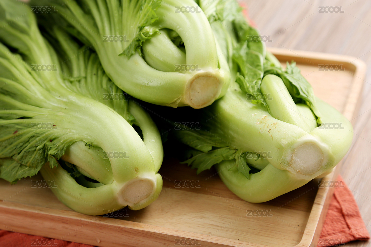 木盤子上的水東芥菜（主預(yù)覽-5796182） - 未分類 - 站酷設(shè)計(jì)師白子梁原創(chuàng)素材 - 站酷ZCOOL