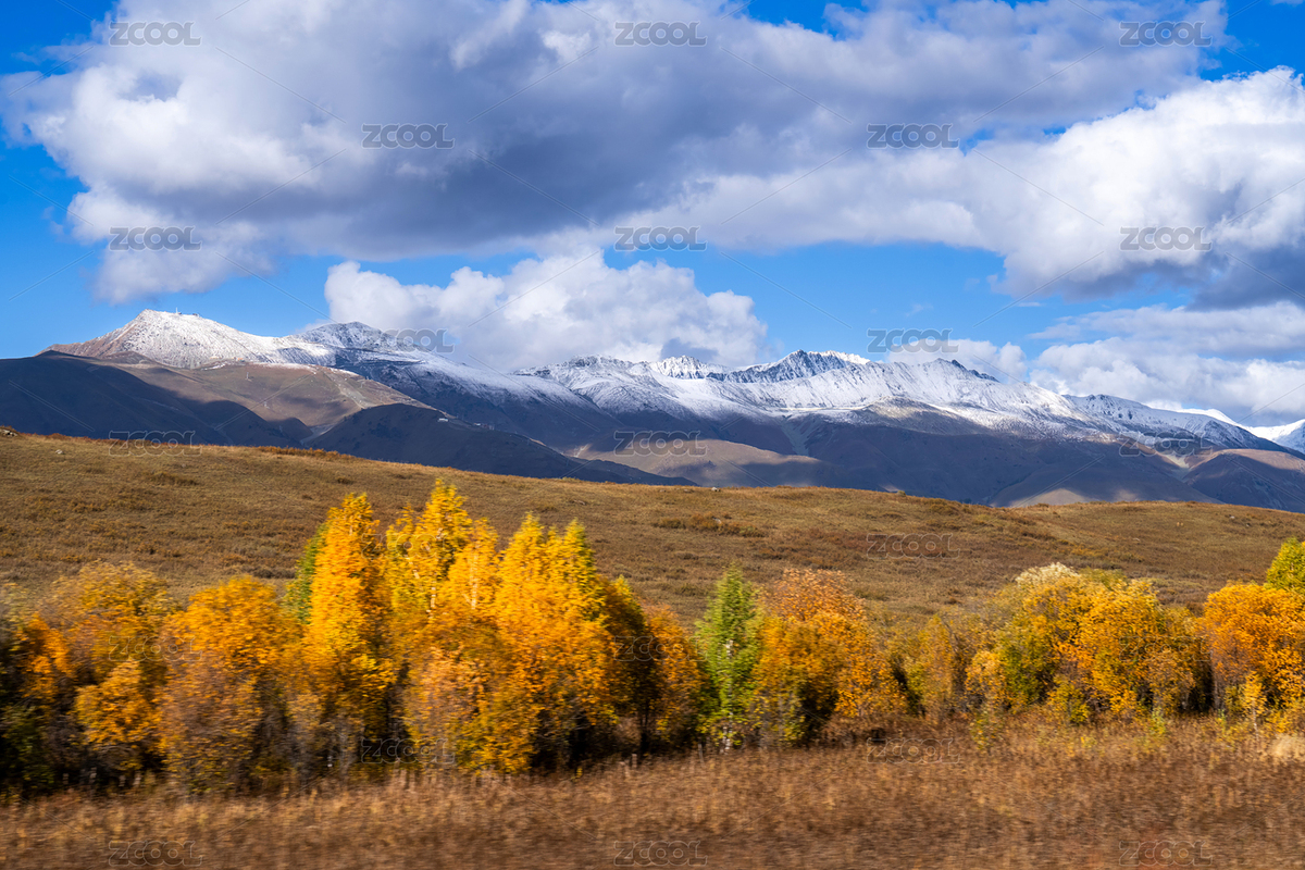 中國新疆秋天的雪山草甸（主預覽-12277798） - 未分類 - 站酷設計師pldq原創(chuàng)素材 - 站酷ZCOOL