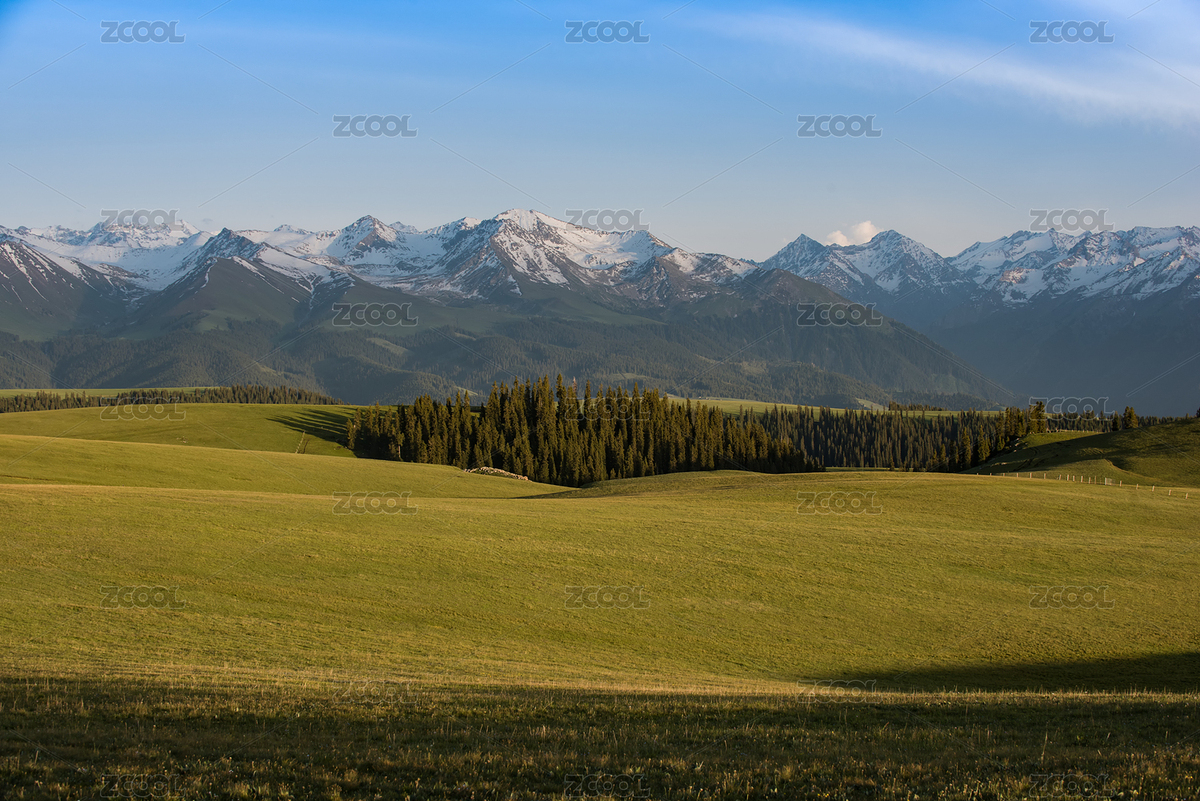 草原（主预览-3196272） - 未分类 - 站酷设计师hellommt原创素材 - 站酷ZCOOL