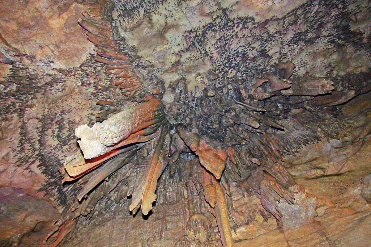 洞穴鐘乳石特寫(xiě)（主預(yù)覽-12220221） - 未分類 - 站酷設(shè)計(jì)師liujunrong原創(chuàng)素材 - 站酷ZCOOL