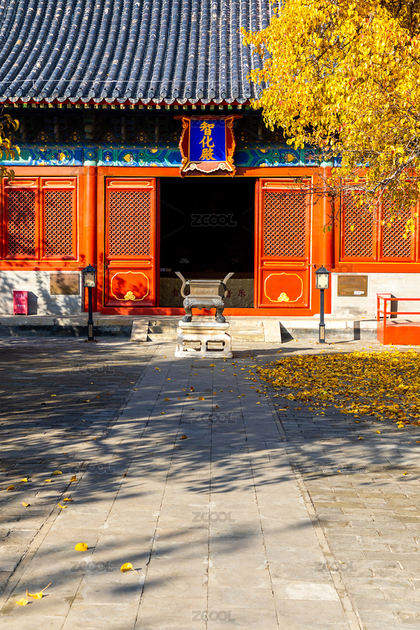 北京智化寺的秋日风光（主预览-12401540） - 未分类 - 站酷设计师calvin99原创素材 - 站酷ZCOOL