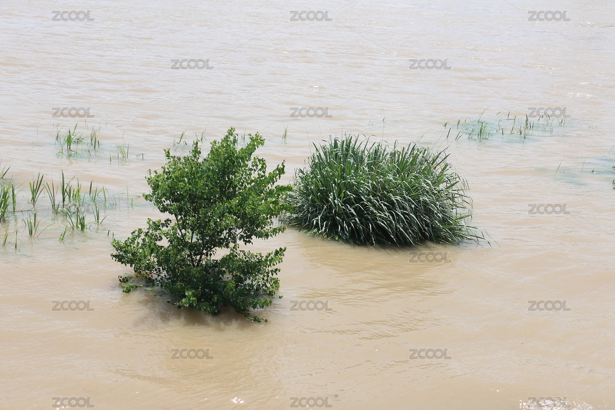 長江汛期漲水（主預(yù)覽-8488042） - 未分類 - 站酷設(shè)計(jì)師何也先生原創(chuàng)素材 - 站酷ZCOOL