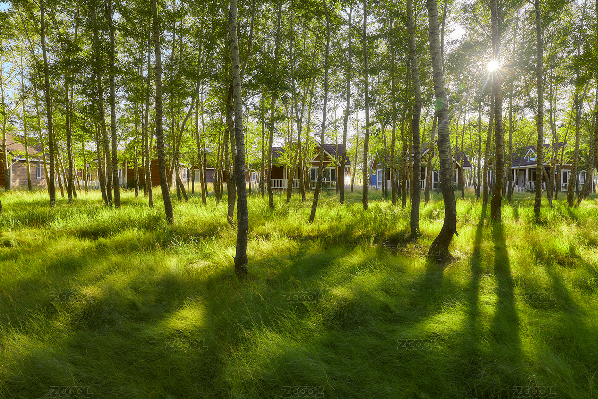 河北沽源庫倫淖而旅游度假村別墅區(qū)森林草地（主預(yù)覽-5883470） - 未分類 - 站酷設(shè)計(jì)師藍(lán)太陽TNT原創(chuàng)素材 - 站酷ZCOOL