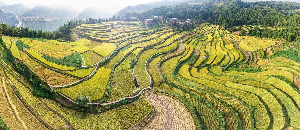 中國四川巴中市通江縣稻田（主預(yù)覽-6264877） - 未分類 - 站酷設(shè)計師網(wǎng)絡(luò)情緣原創(chuàng)素材 - 站酷ZCOOL