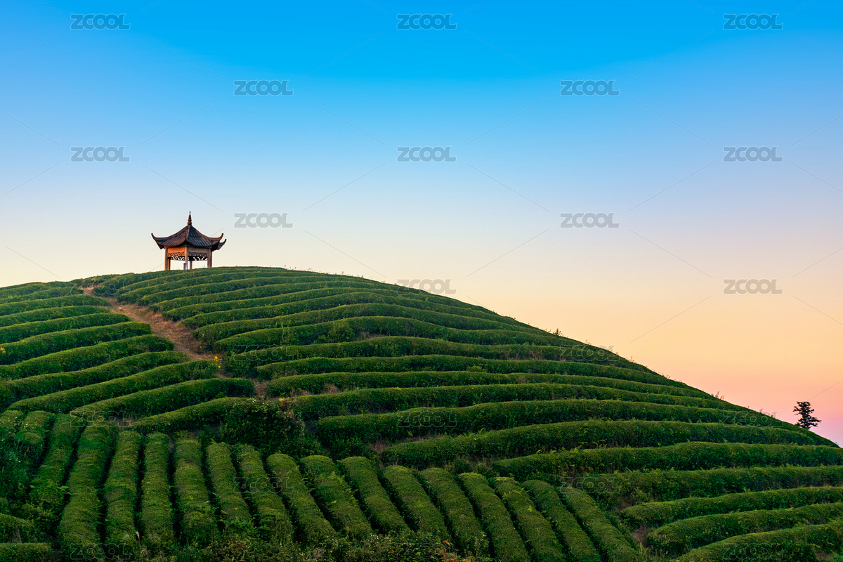 中國浙江寧波金山頂望海亭山頂茶園涼亭景觀（主預(yù)覽-2502061） - 未分類 - 站酷設(shè)計(jì)師90后kid原創(chuàng)素材 - 站酷ZCOOL