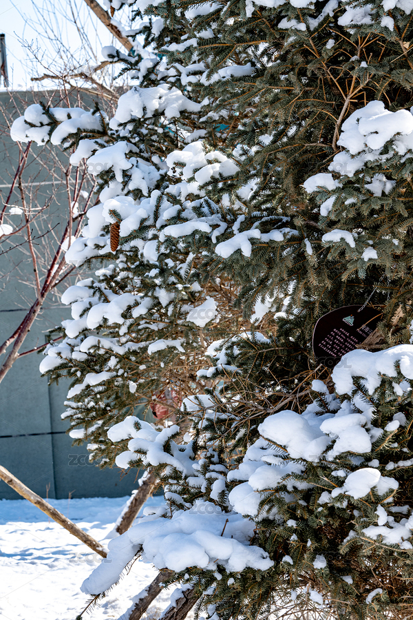 贺兰山雪景沿山公路贺兰山岩画（主预览-9069097） - 未分类 - 站酷设计师西北蹦迪的狗熊原创素材 - 站酷ZCOOL