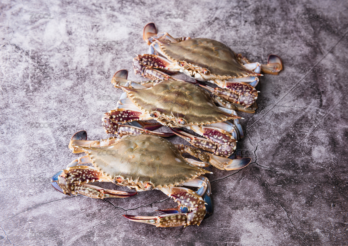 生鮮梭子蟹（主預(yù)覽-7172854） - 未分類 - 站酷設(shè)計(jì)師旺旺旅行家原創(chuàng)素材 - 站酷ZCOOL