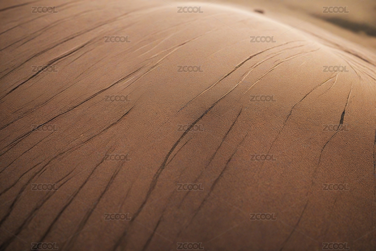 皮肤纹理特写主题