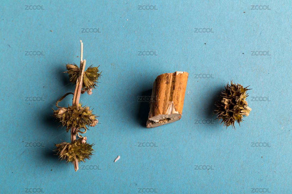 藍(lán)色背景的中藥材益母草（主預(yù)覽-3531791） - 未分類 - 站酷設(shè)計(jì)師QFStudio原創(chuàng)素材 - 站酷ZCOOL