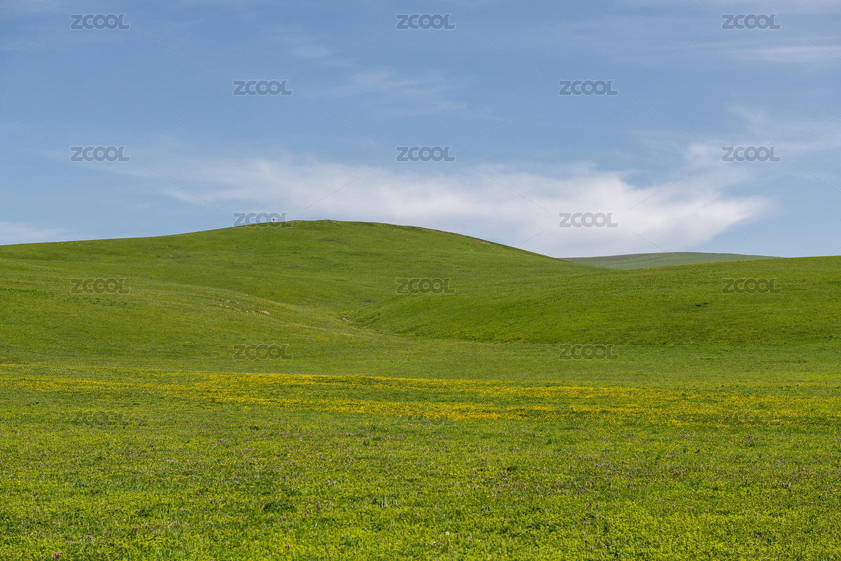 中國新疆伊犁特克斯縣喀拉峻風(fēng)景區(qū)草原風(fēng)光（主預(yù)覽-9030318） - 未分類 - 站酷設(shè)計(jì)師獨(dú)步行攝原創(chuàng)素材 - 站酷ZCOOL