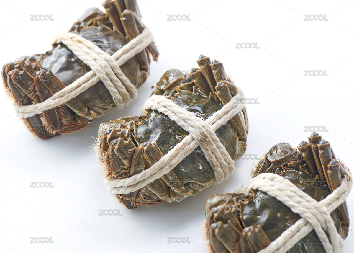 白背景上擺放生的陽澄湖大閘蟹（主預(yù)覽-9010778） - 未分類 - 站酷設(shè)計師密斯楊攝影原創(chuàng)素材 - 站酷ZCOOL