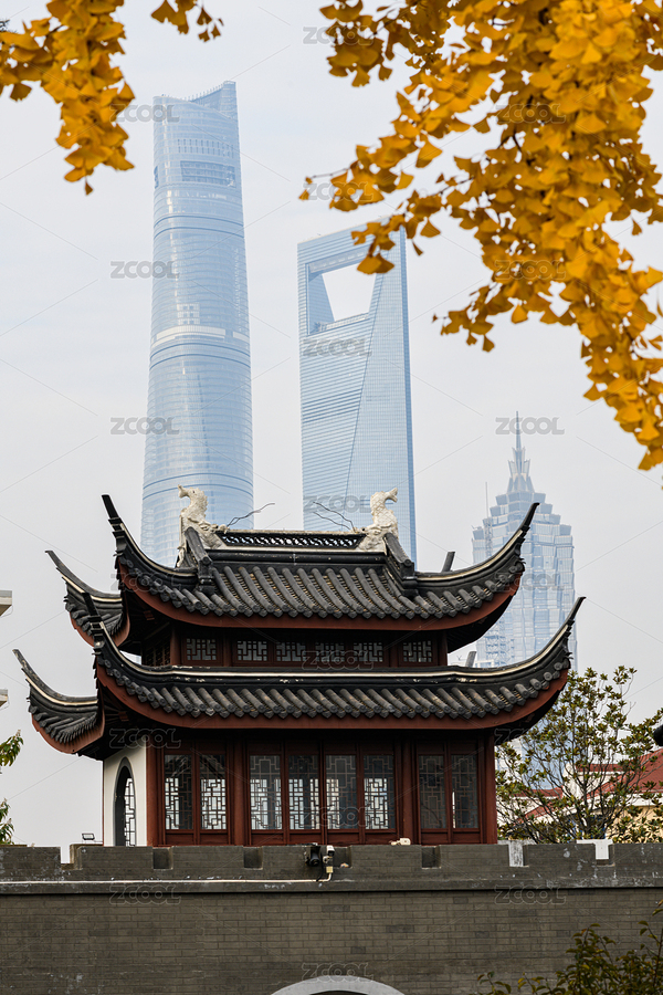 上海梅園冬日古今輝映（主預覽-12560398） - 未分類 - 站酷設計師Hongyang21原創(chuàng)素材 - 站酷ZCOOL