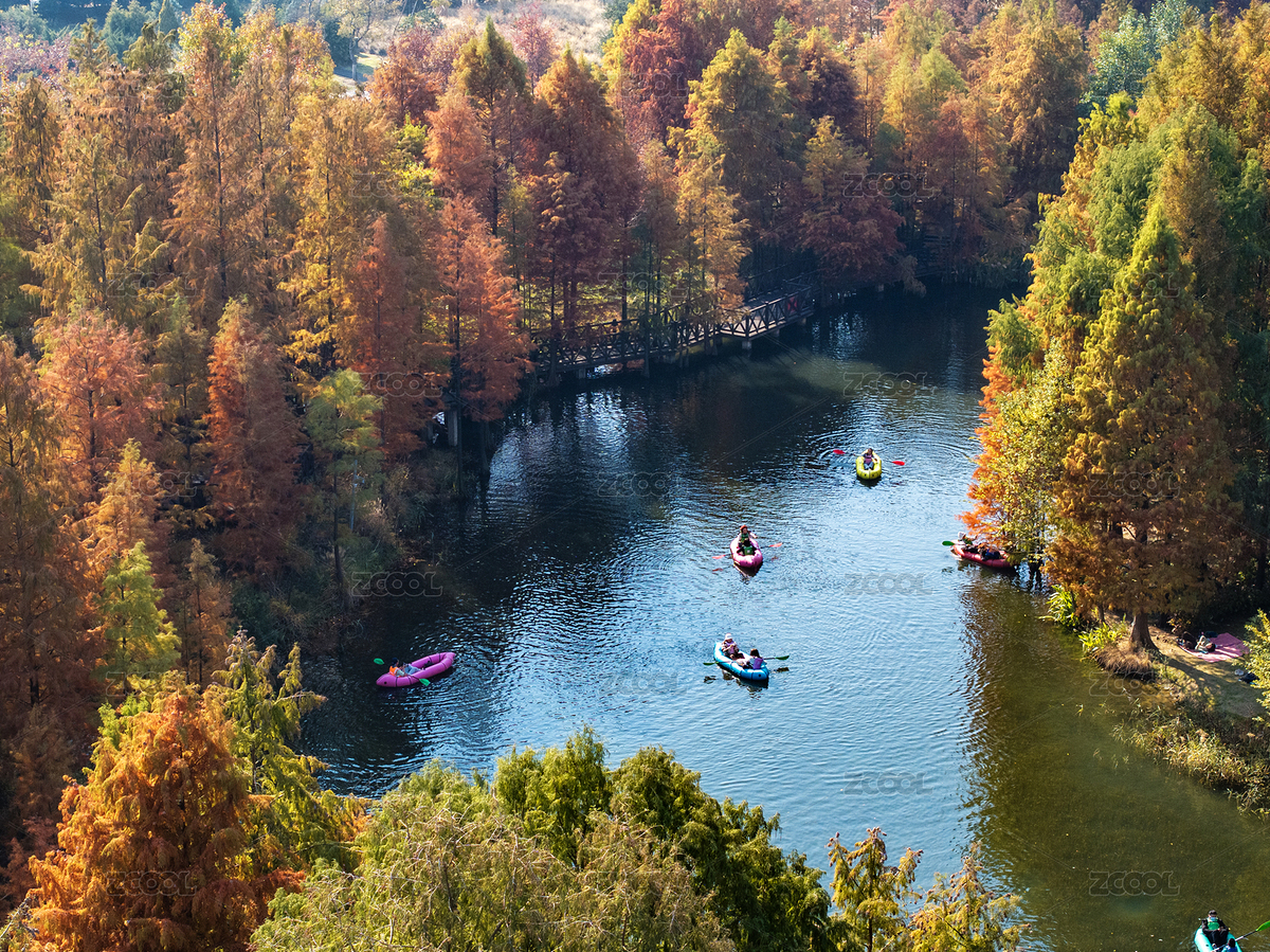 寧波植物園秋日水杉湖景航拍（主預(yù)覽-12559748） - 未分類 - 站酷設(shè)計(jì)師壹棵樹原創(chuàng)素材 - 站酷ZCOOL